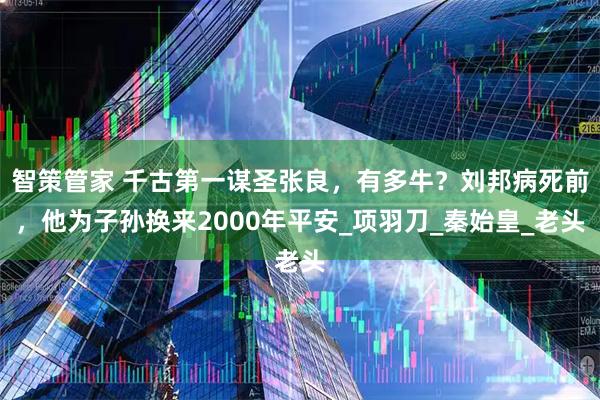 智策管家 千古第一谋圣张良，有多牛？刘邦病死前，他为子孙换来2000年平安_项羽刀_秦始皇_老头