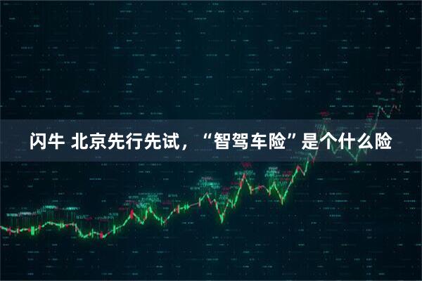 闪牛 北京先行先试，“智驾车险”是个什么险