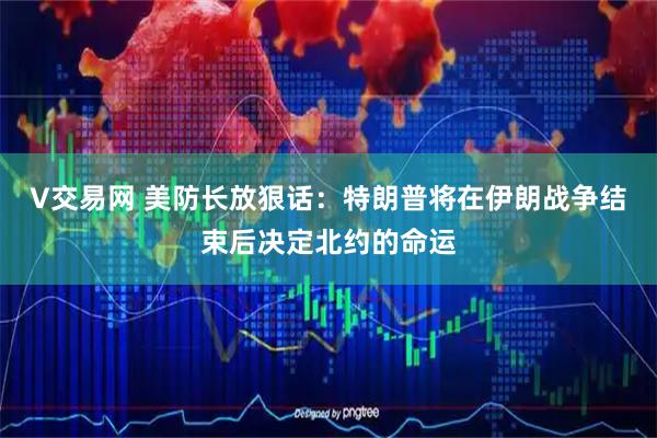 V交易网 美防长放狠话：特朗普将在伊朗战争结束后决定北约的命运